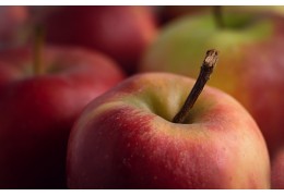 Faut-il manger bio ? Avantages et limites des aliments biologiques