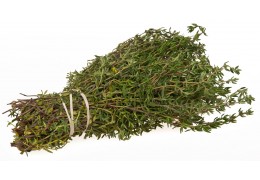 Le Thym : Une Plante Aux Mille Vertus pour la Santé et le Bien-Être
